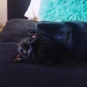 Meet your Posher, Mandy